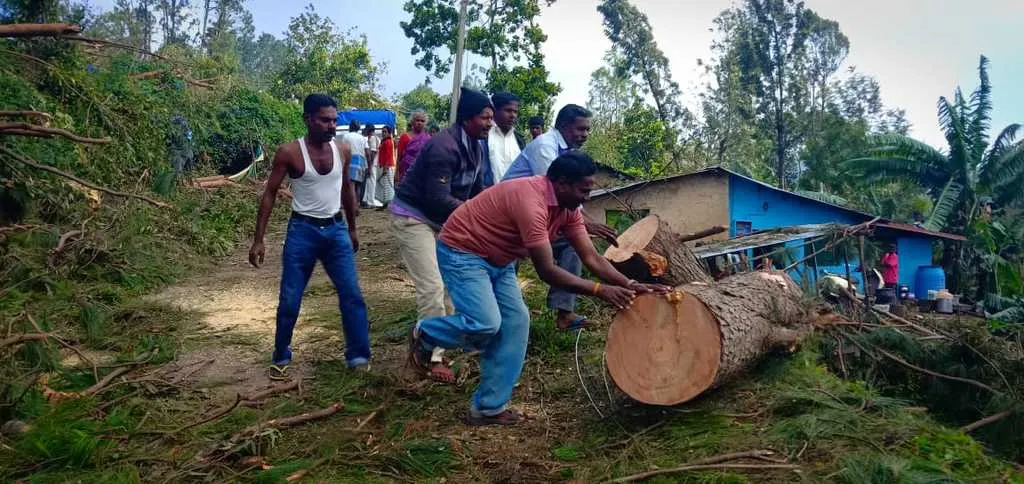 kodai 